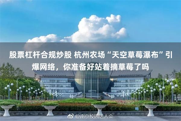 股票杠杆合规炒股 杭州农场“天空草莓瀑布”引爆网络，你准备好站着摘草莓了吗