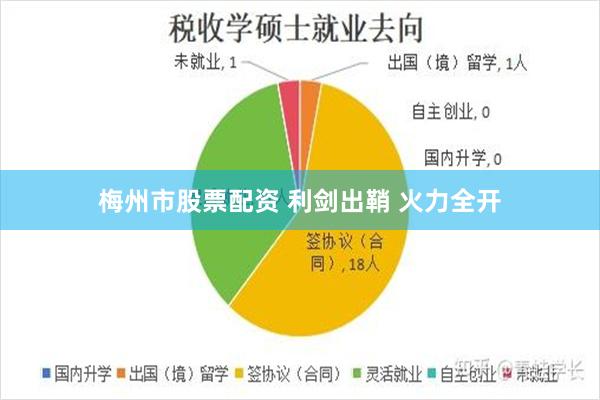 梅州市股票配资 利剑出鞘 火力全开
