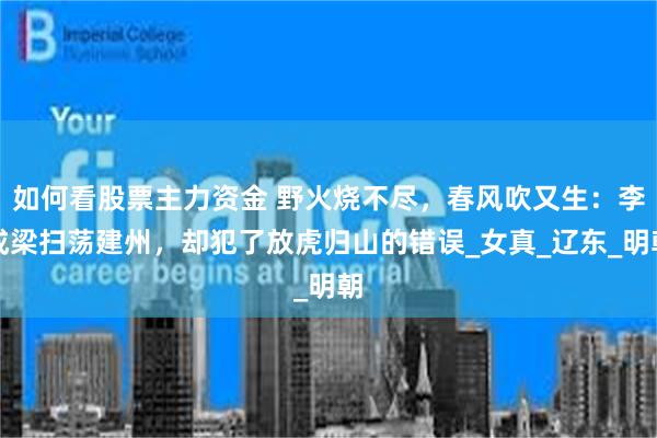 如何看股票主力资金 野火烧不尽，春风吹又生：李成梁扫荡建州，却犯了放虎归山的错误_女真_辽东_明朝
