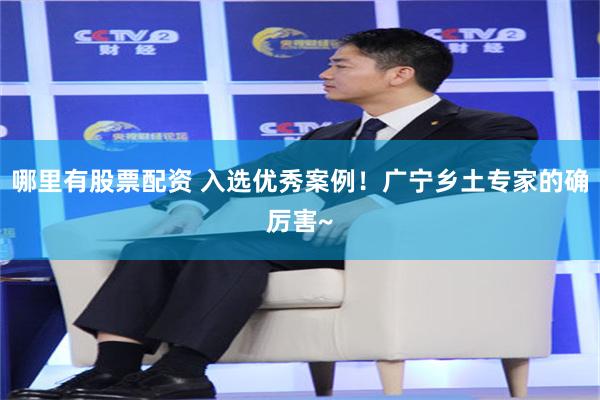 哪里有股票配资 入选优秀案例！广宁乡土专家的确厉害~