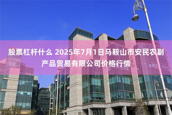 股票杠杆什么 2025年7月1日马鞍山市安民农副产品贸易有限公司价格行情